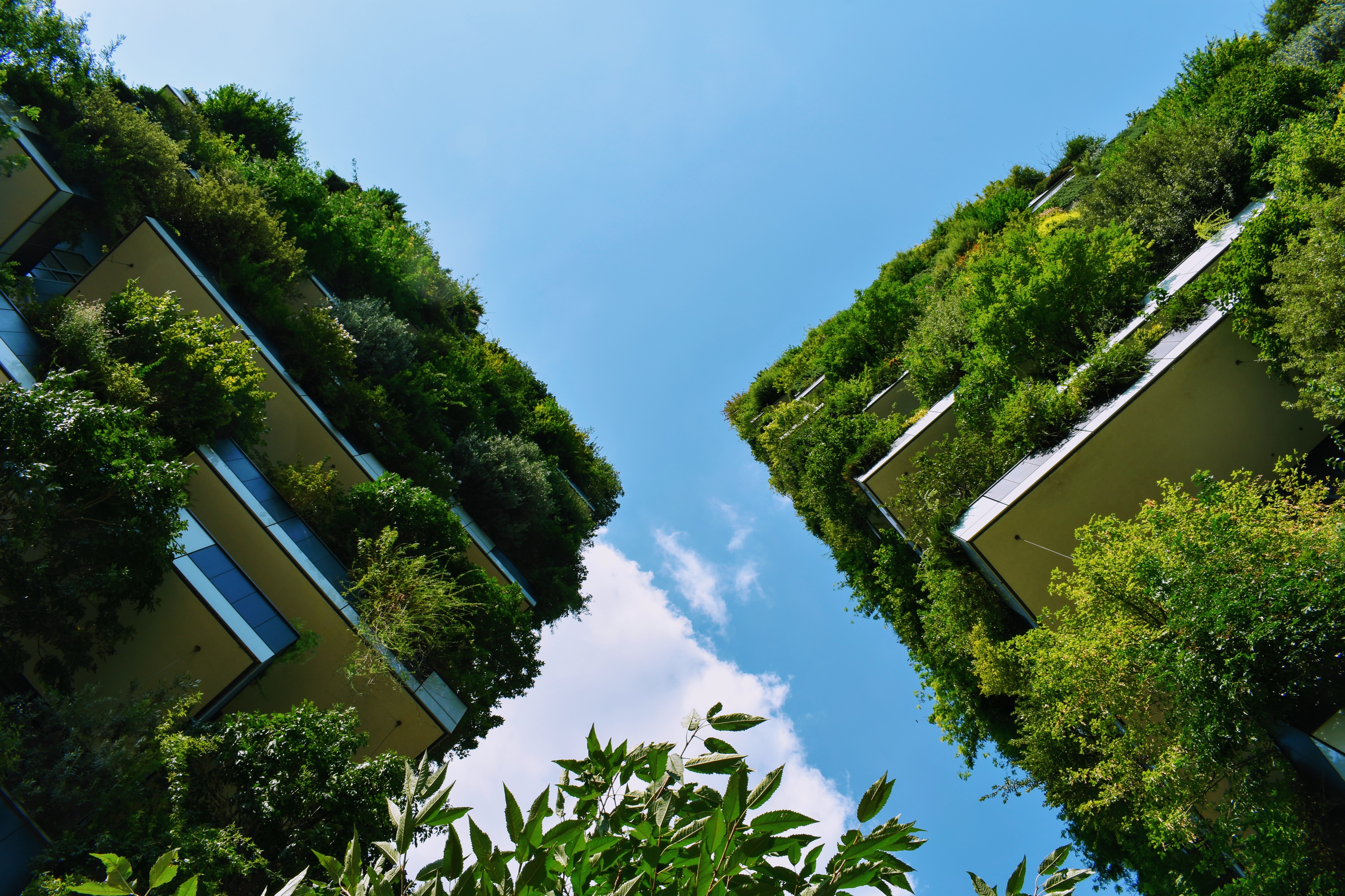 Bosco Verticale