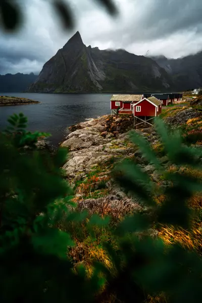 Hamnøya 41, 8390 Moskenes, Norway