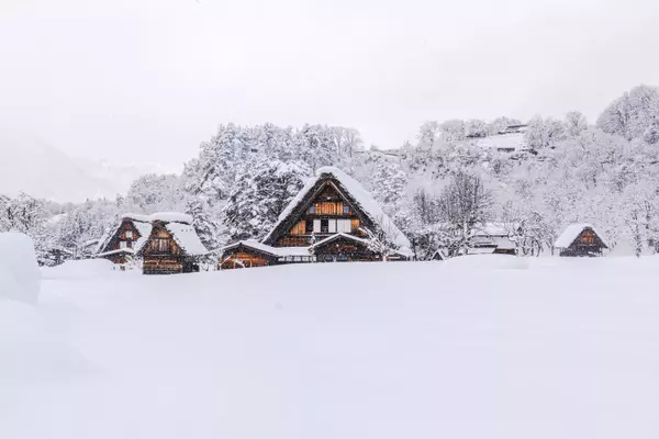 517, Hatotani, Shirakawa-mura, Ono-gun, Gifu 501-5629, Japan