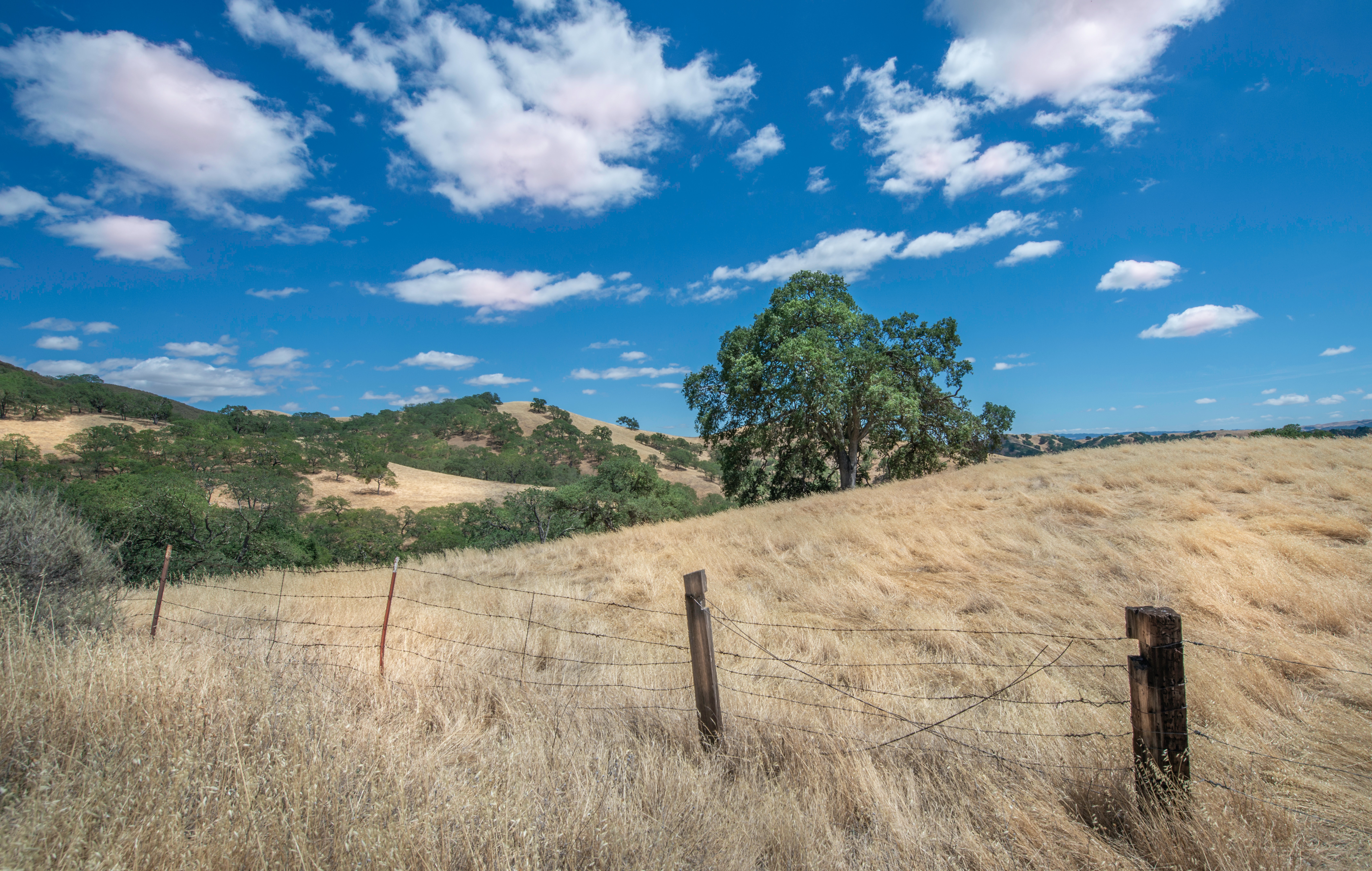 Mount Diablo (1170m)