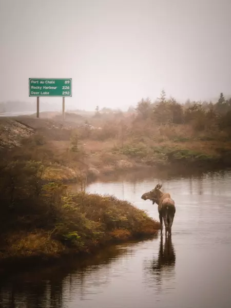 Newfoundland and Labrador, NL, Canada