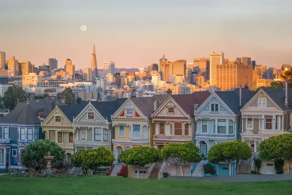 Painted Ladies