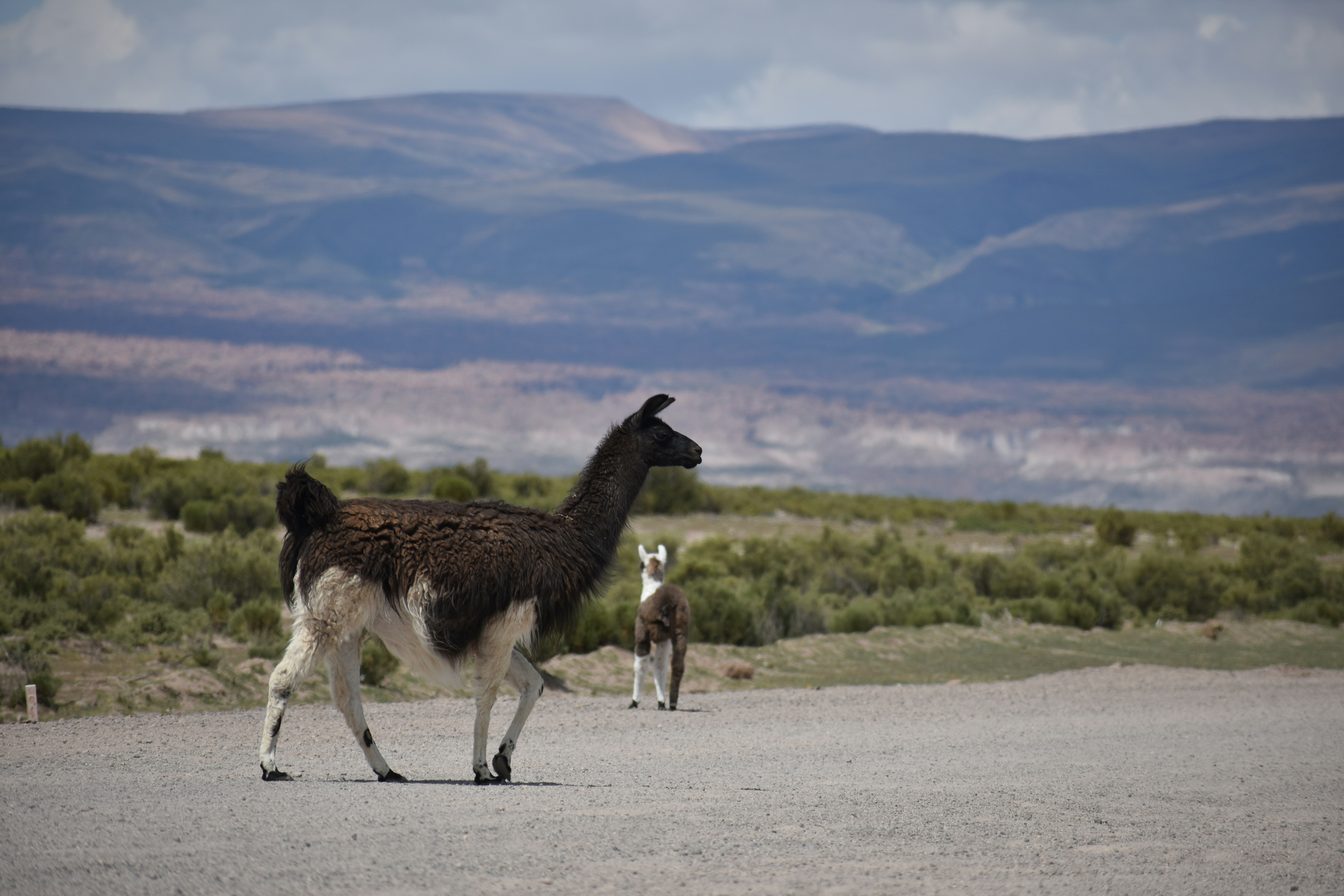 San Pedro de Totora, Oruro, Bolivia