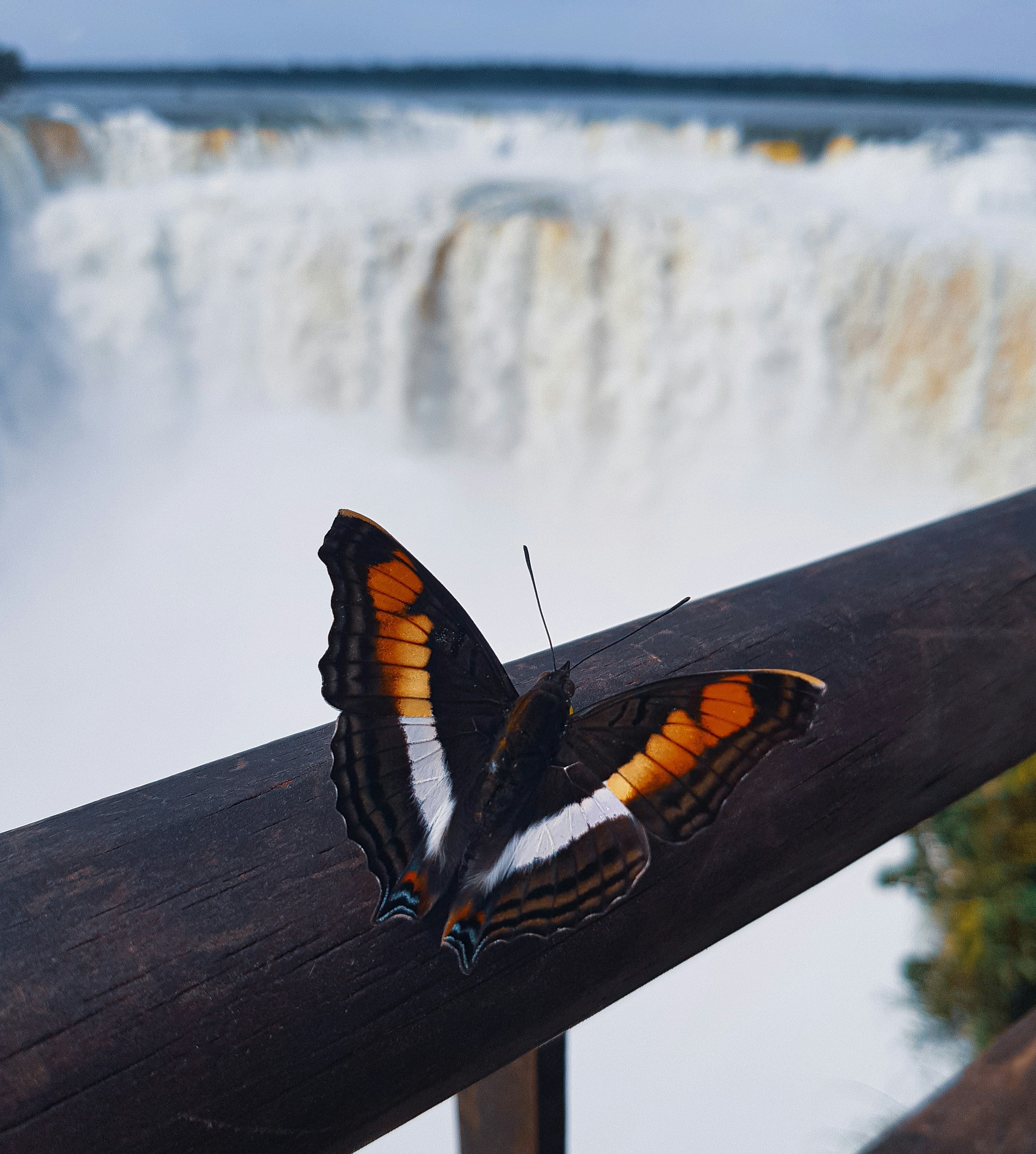 Iguacu River