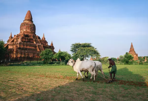 Shwe Bagan Restaurant