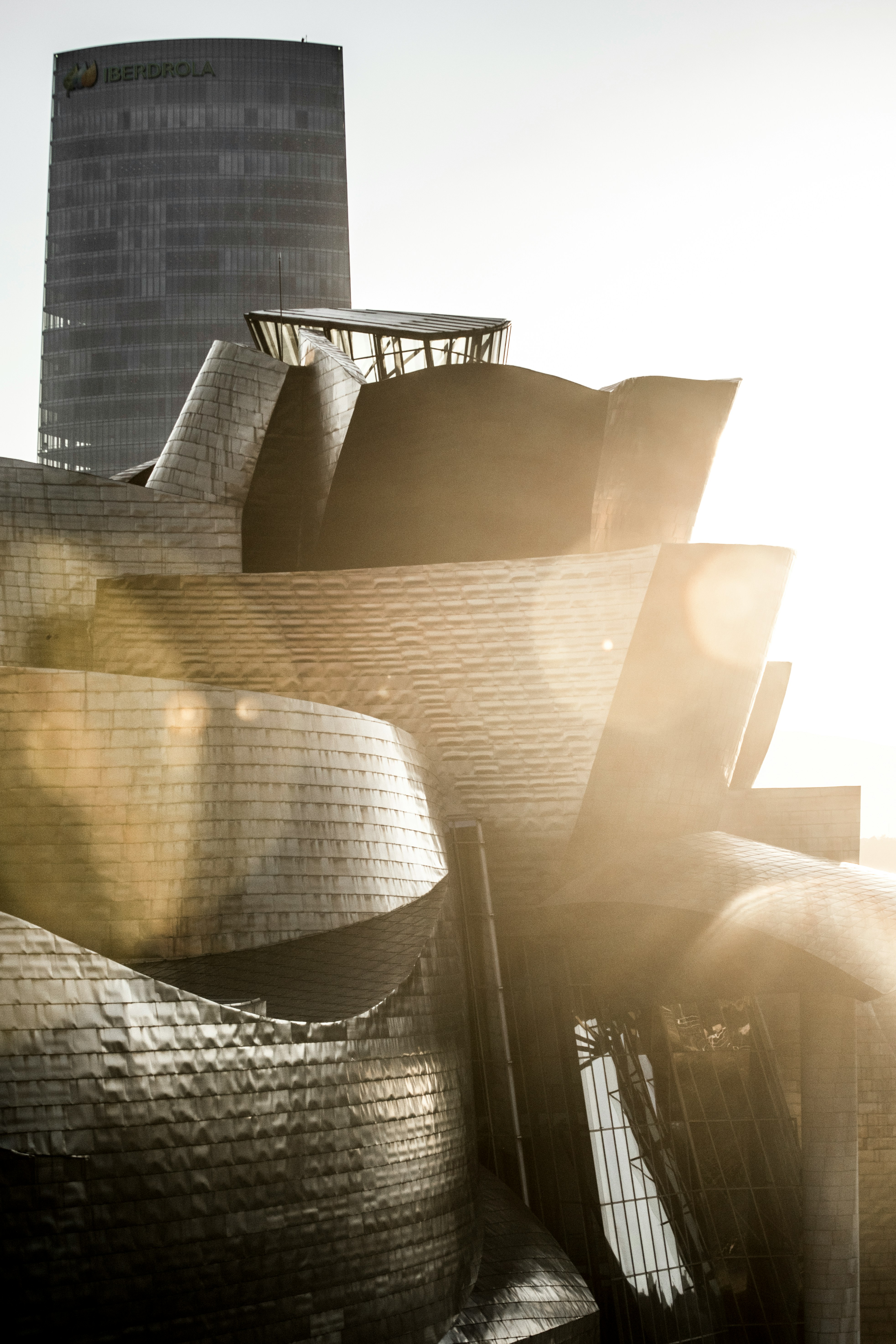 Guggenheim Museum Bilbao