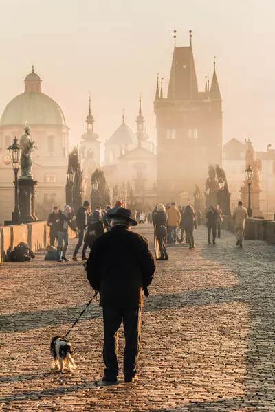 náměstí Míru 820/9, 120 00 Prague, Czechia