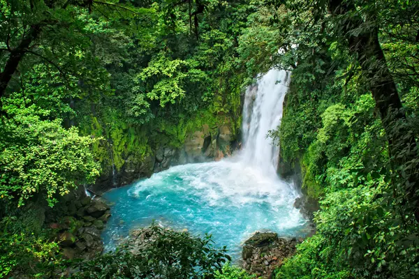 Buenavista, Alajuela, Costa Rica