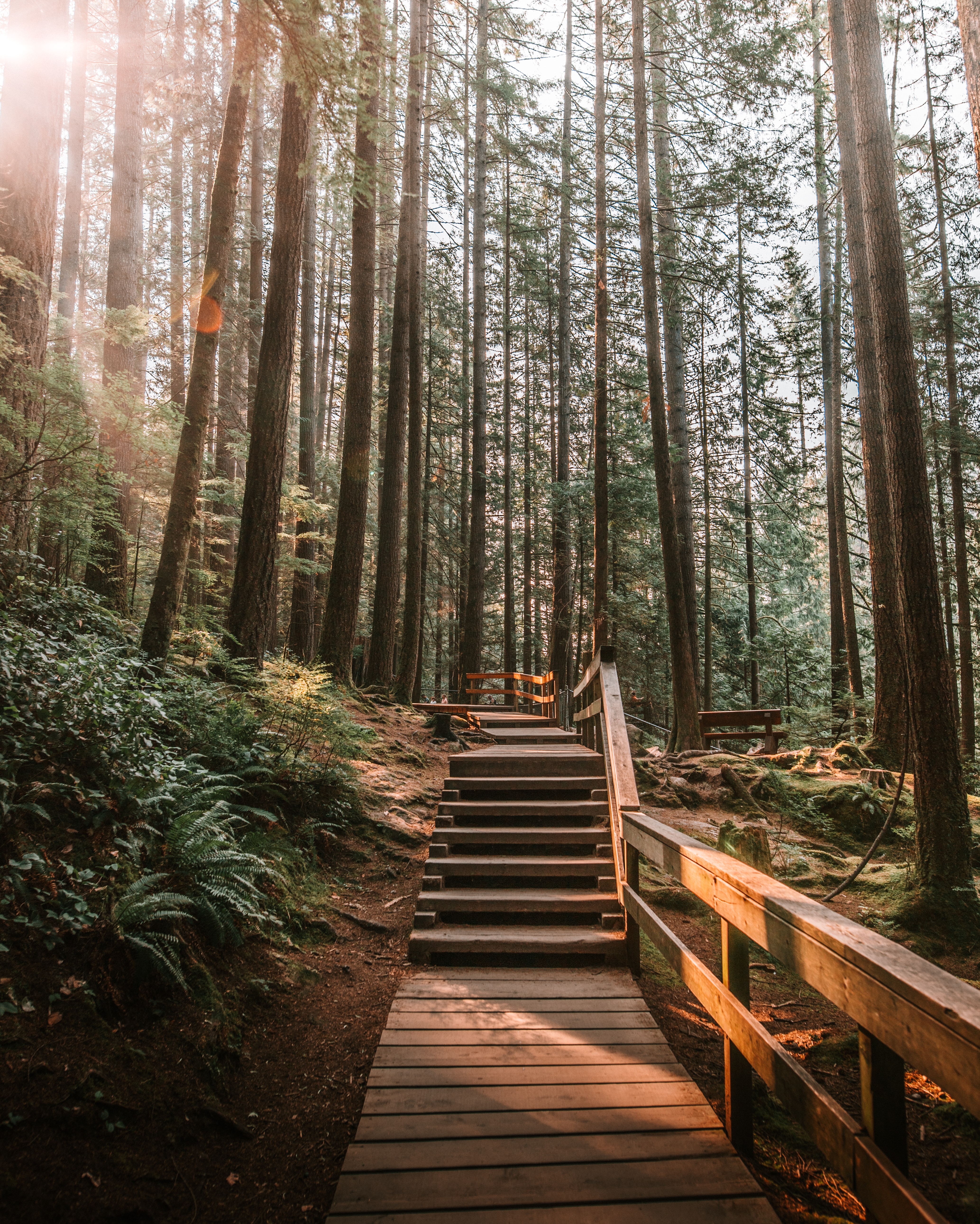 Lynn Canyon Park