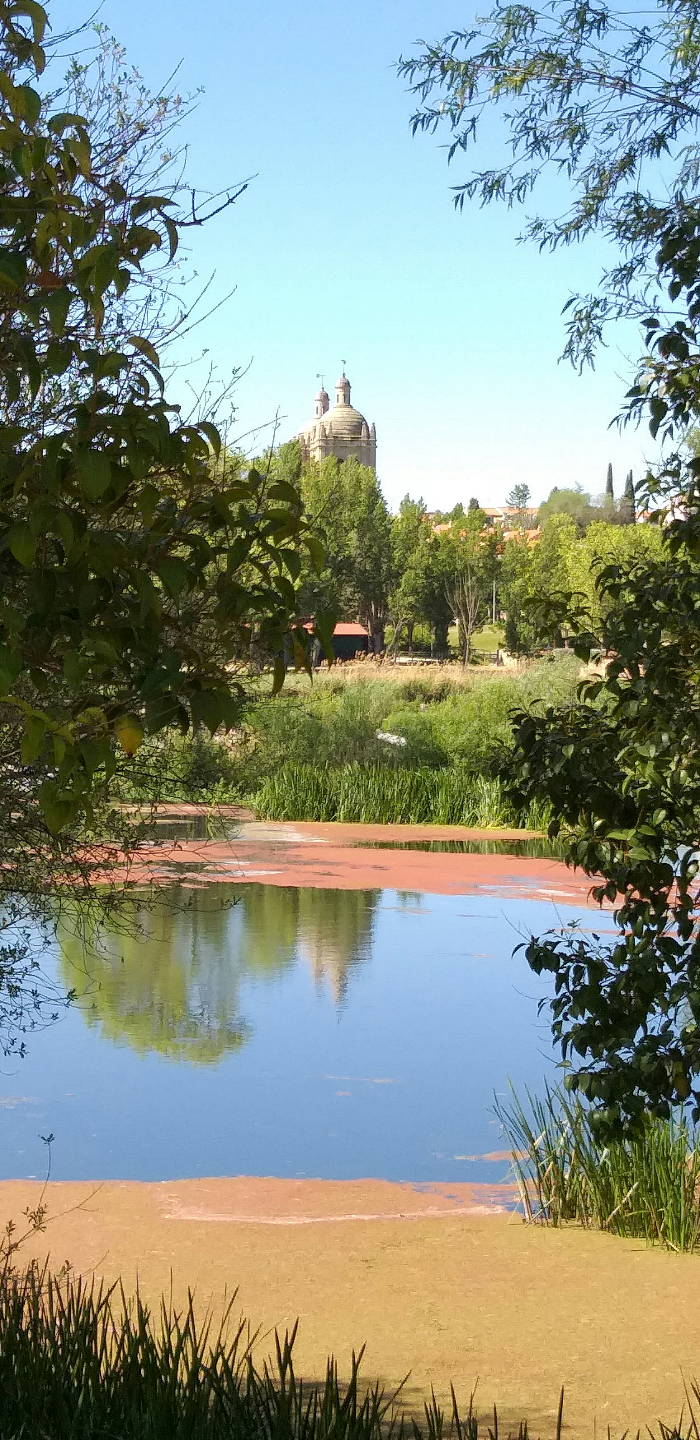 Salamanca, Castilla and Leon, Spain