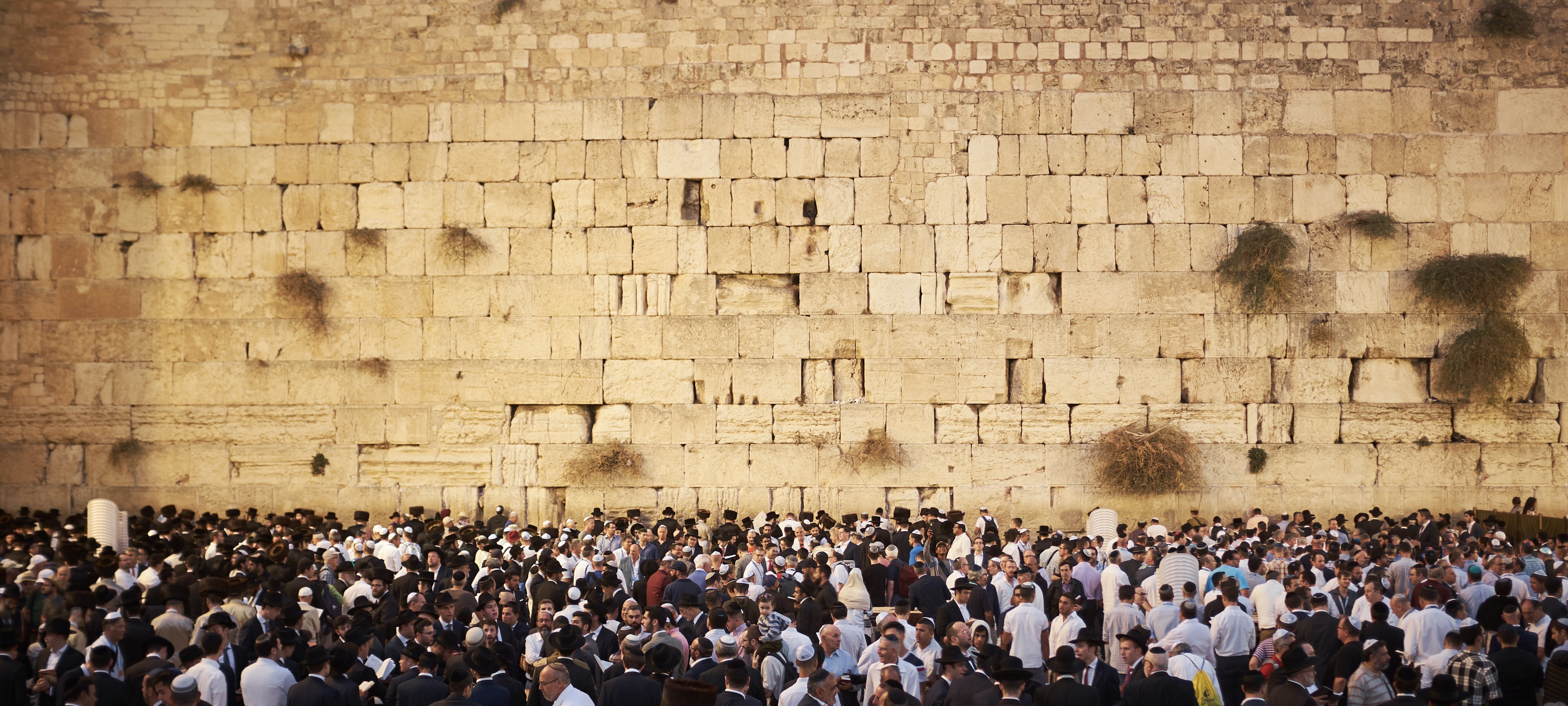 Chabad of the Western Wall