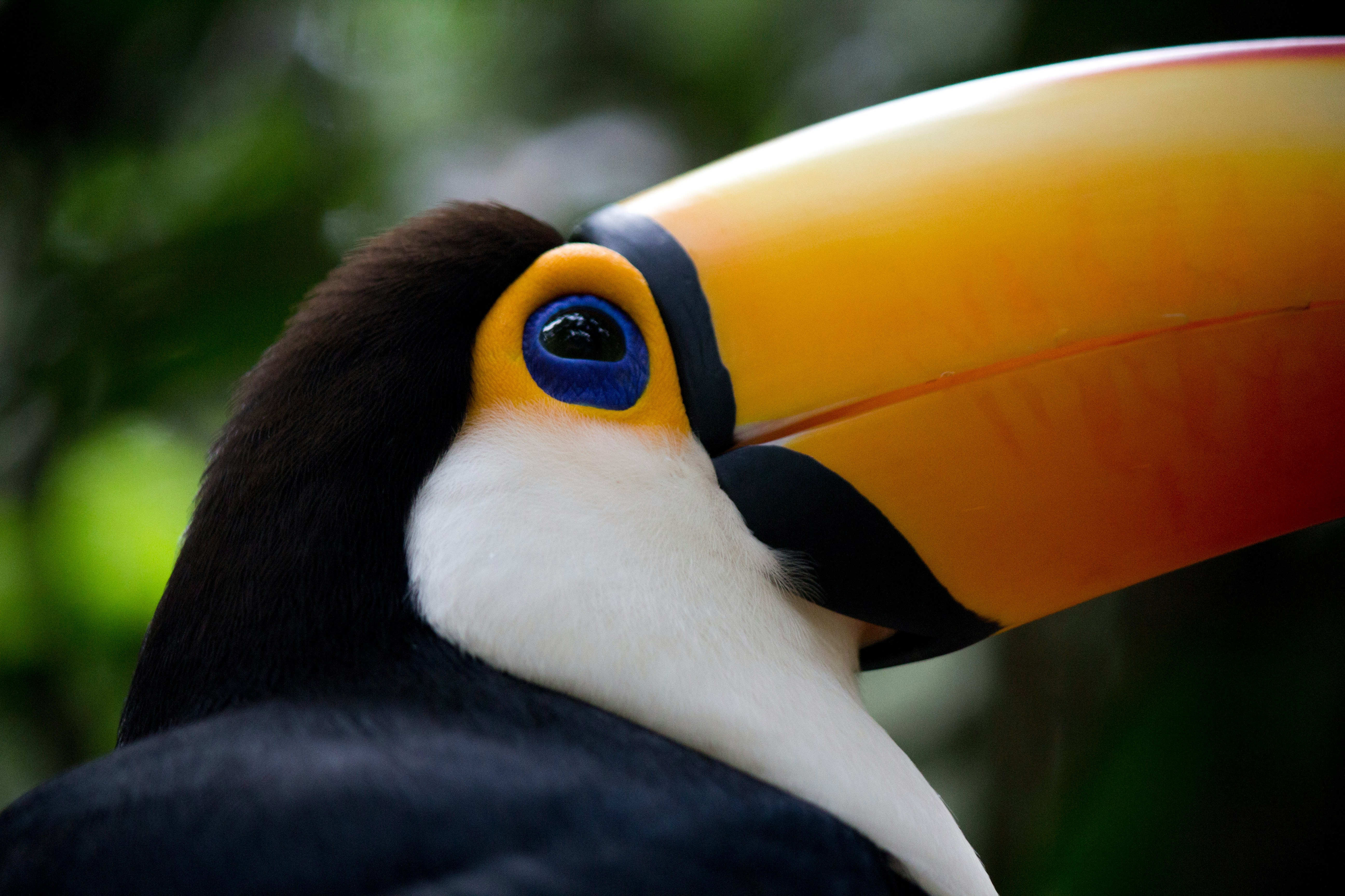 Iguazu National Park