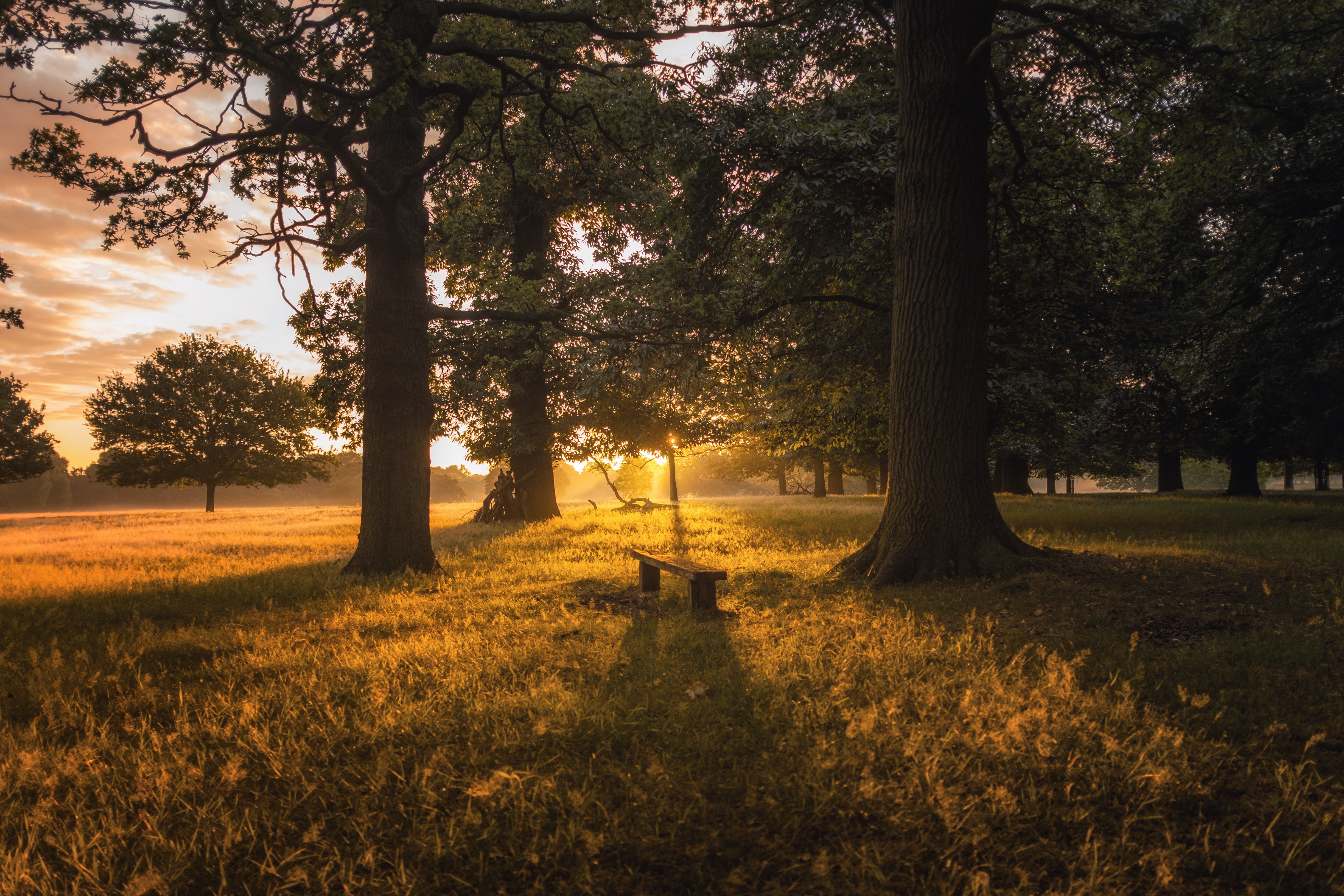 My Cleaners Richmond Park