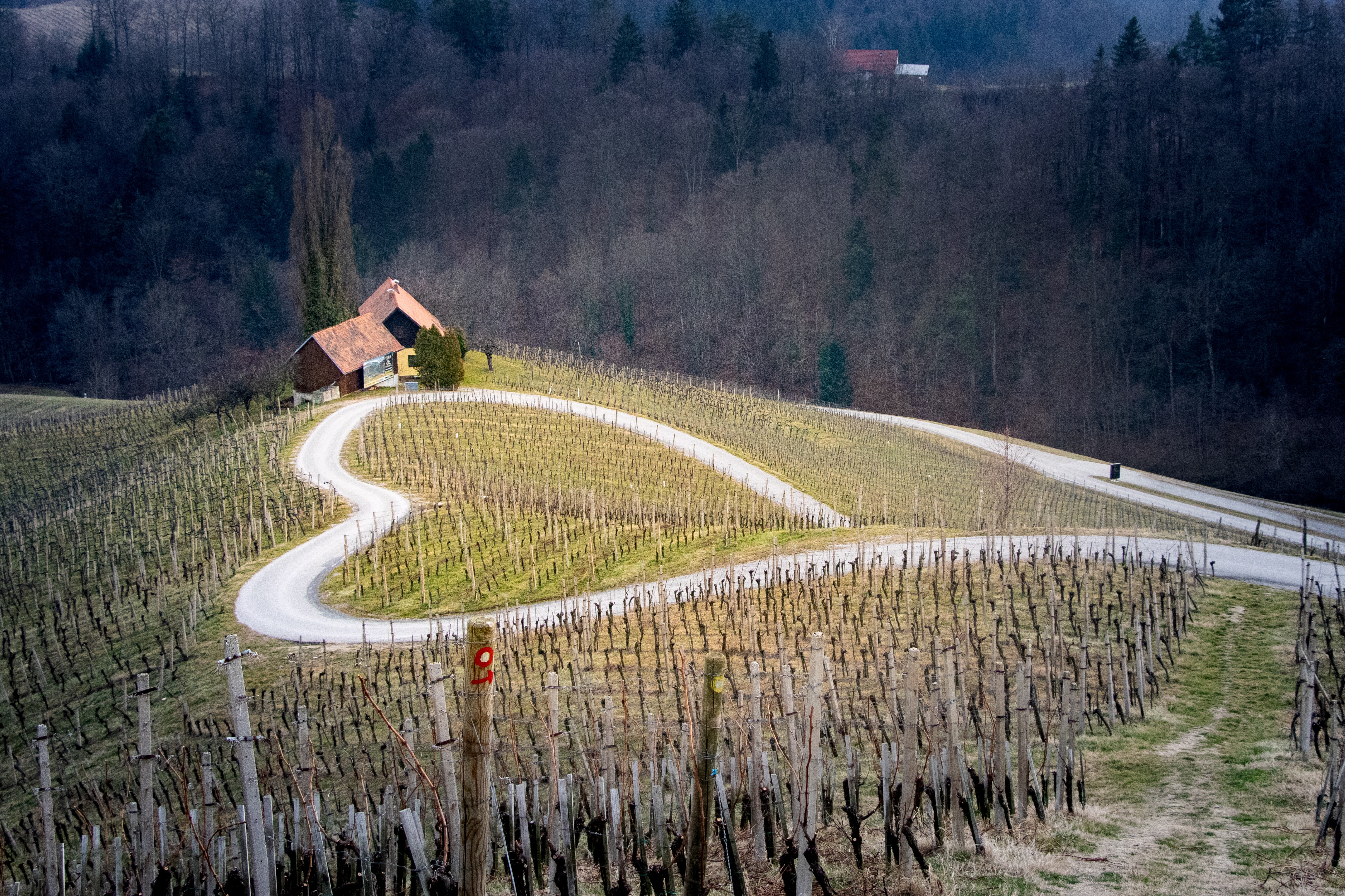 Špičnik, 2201 Kungota, Slovenia